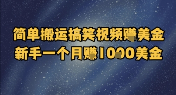 简单搬运搞笑视频挣美金，新手一个月入1k美金-问小徐资源库