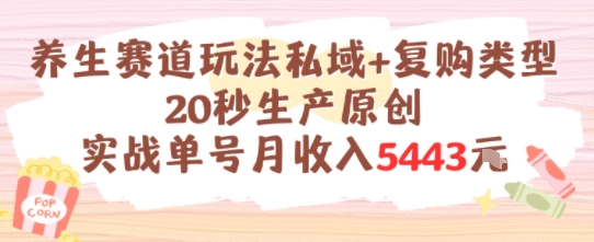 养生赛道玩法私域+复购类型，20秒生产原创实战单号月收入5k+-问小徐资源库