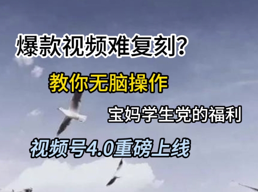 视频号4.0重磅上线，爆款视频难复刻？教你无脑操作宝妈学生党的福利【揭秘】-问小徐资源库