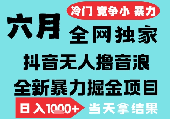 2025年6月高爆抖音无人直播最新撸音浪掘金项目，无脑日入1k+，低门槛小白可做，可矩阵放大【揭秘】-问小徐资源库
