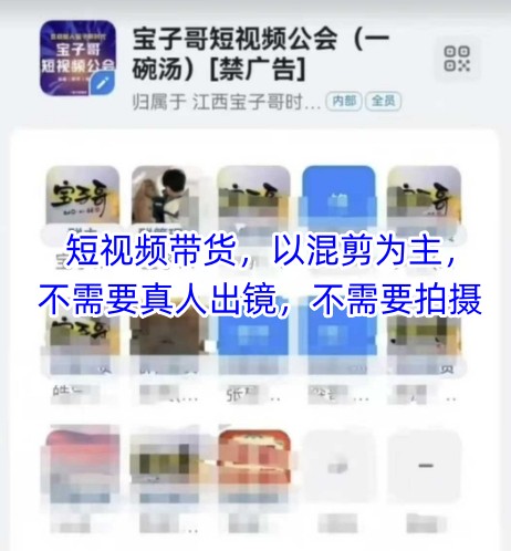 宝子哥头部团队短视频带货，以混剪为主，不需要真人出镜，不需要拍摄【更新】-问小徐资源库