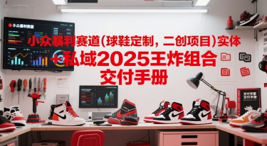小众暴利赛道(球鞋定制，二创项目)实体+私域2025王炸组合  交付手册-问小徐资源库