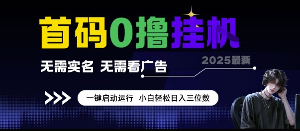 首码0撸挂G项目，无需实名无需看广告 一键启动运行，小白轻松日入三位数【揭秘】-问小徐资源库