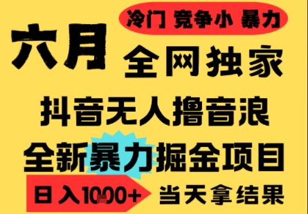 25年6月高爆抖音无人直播最新撸音浪掘金项目，小白可做，无脑日入1k+，门槛低可批量矩阵【揭秘】-问小徐资源库
