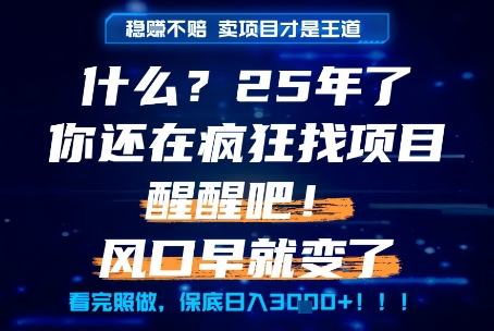 什么？25年你还在疯狂找项目做，醒醒吧，看完这些你全都懂了！【揭秘】-问小徐资源库