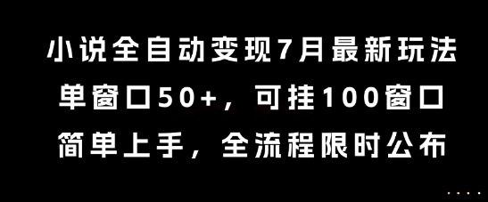 小说全自动变现7月玩法，单窗口50+，可挂100窗口，简单上手，全流程限时公布【揭秘】-问小徐资源库