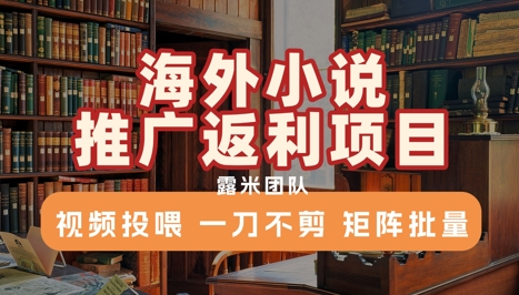 海外小说推广返利项目，视频投喂， 一刀不剪，矩阵批量-问小徐资源库