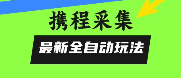携程信息采集全自动玩法，0风控，无脑开干【揭秘】-问小徐资源库