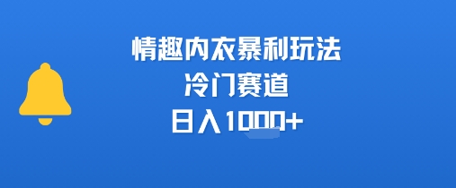 情趣内衣暴利玩法，冷门赛道，日入1k+-问小徐资源库