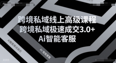 跨境私域线上高级课程，跨境私域极速成交3.0+Ai智能客服-问小徐资源库