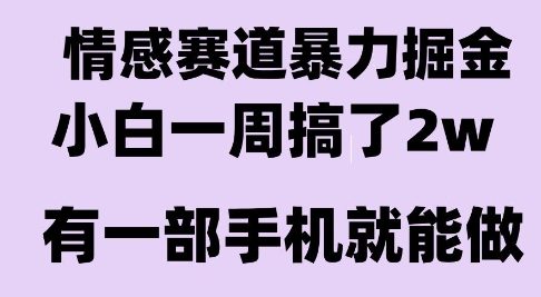 情感暴力掘金项目，新人操作一周挣了2W，长期稳定小白可做【揭秘】-问小徐资源库