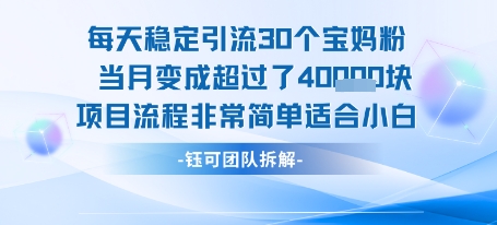 每天稳定引流30个人 当月变成超过了4个W项目流程非常简单适合小白-问小徐资源库