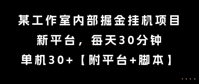 某工作室内部掘金挂G项目，新平台，每天30分钟，单机30+【揭秘】-问小徐资源库