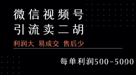 视频号卖二胡教程，利润大 易成交 售后少，一单利润5张+-问小徐资源库