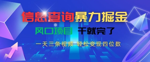 信息查询暴力掘金，一天三条视频，轻松变现四位数，风口项目干就完了【揭秘】-问小徐资源库