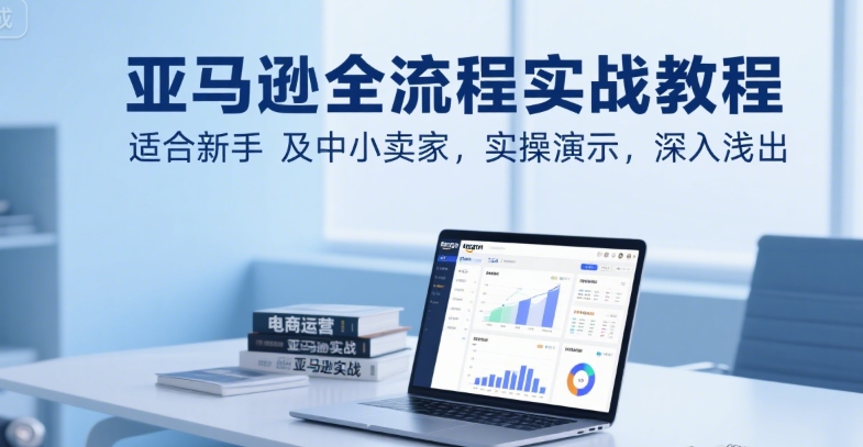 亚马逊全流程实战教程，适合新手及中小卖家，实操演示，深入浅出-问小徐资源库