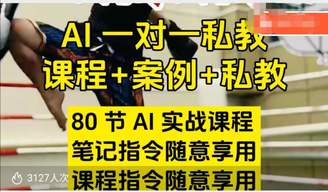AI指令实战课，课程+案例，80节AI实战课程，笔记指令随意享用，课程指令随意享用（更新7月）-问小徐资源库