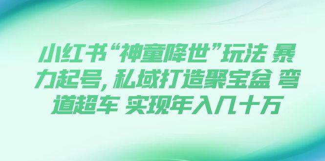 （7673期）小红书“神童降世”玩法 暴力起号,私域打造聚宝盆 弯道超车 实现年入几十万-问小徐资源库