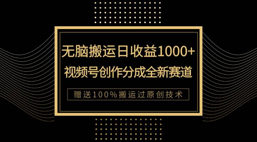 （7736期）单日收益1000+，新类目新赛道，视频号创作分成无脑搬运100%上热门-问小徐资源库