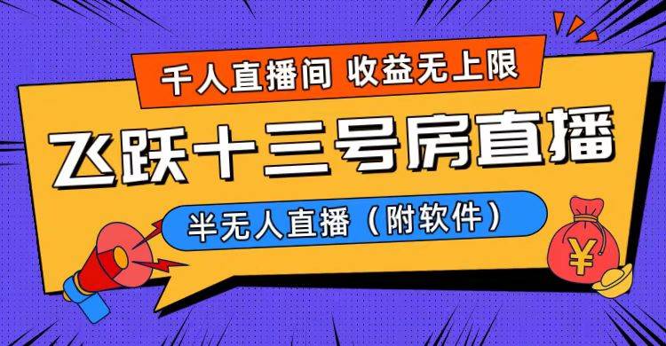 （8711期）爆火飞跃十三号房半无人直播，一场直播上千人，日入过万！（附软件）-问小徐资源库