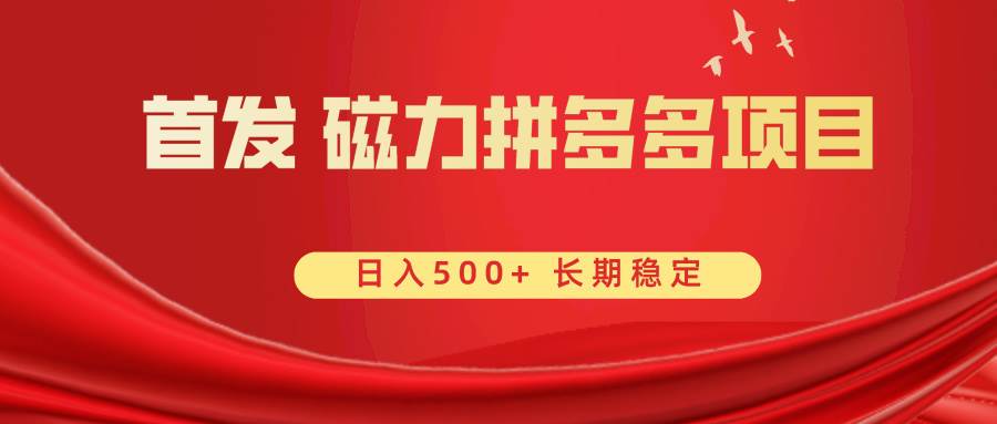 （8611期）首发 磁力拼多多自撸  日入500+-问小徐资源库