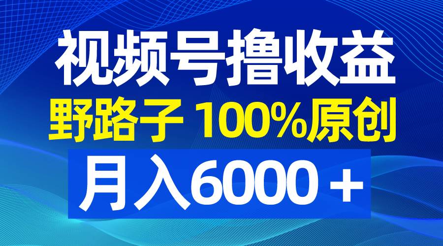 （8679期）视频号野路子撸收益，100%原创，条条爆款，月入6000＋-问小徐资源库