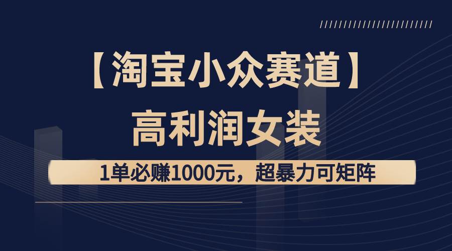 （8608期）【淘宝小众赛道】高利润女装：1单必赚1000元，超暴力可矩阵-问小徐资源库