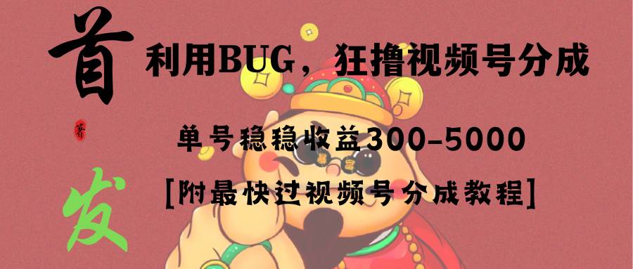 （8549期）全网独家首发，视频号BUG，超短期项目，单号每日净收益300-5000！-问小徐资源库