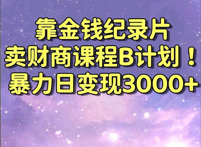 （8944期）靠金钱纪录片卖财商课程B计划！暴力日变现3000+，喂饭式干货教程！-问小徐资源库