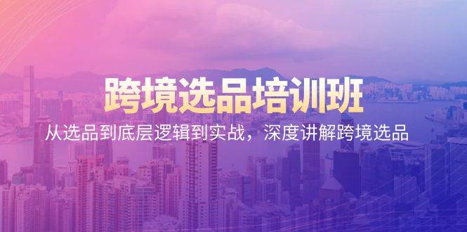 （9143期）跨境选品培训班：从选品到底层逻辑到实战，深度讲解跨境选品-问小徐资源库
