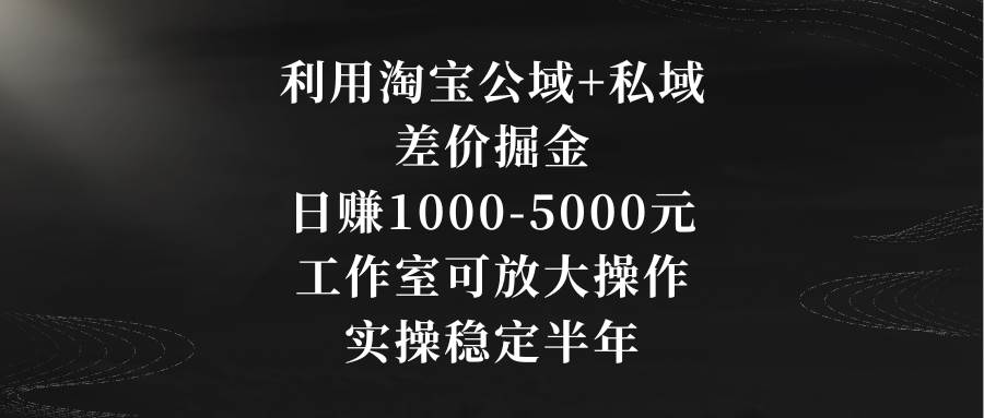 （8952期）利用淘宝公域+私域差价掘金，日赚1000-5000元，工作室可放大操作，实操…-问小徐资源库