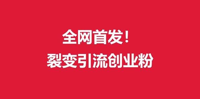 （9061期）（全网首发）外面收费几千的裂变引流高质量创业粉-问小徐资源库