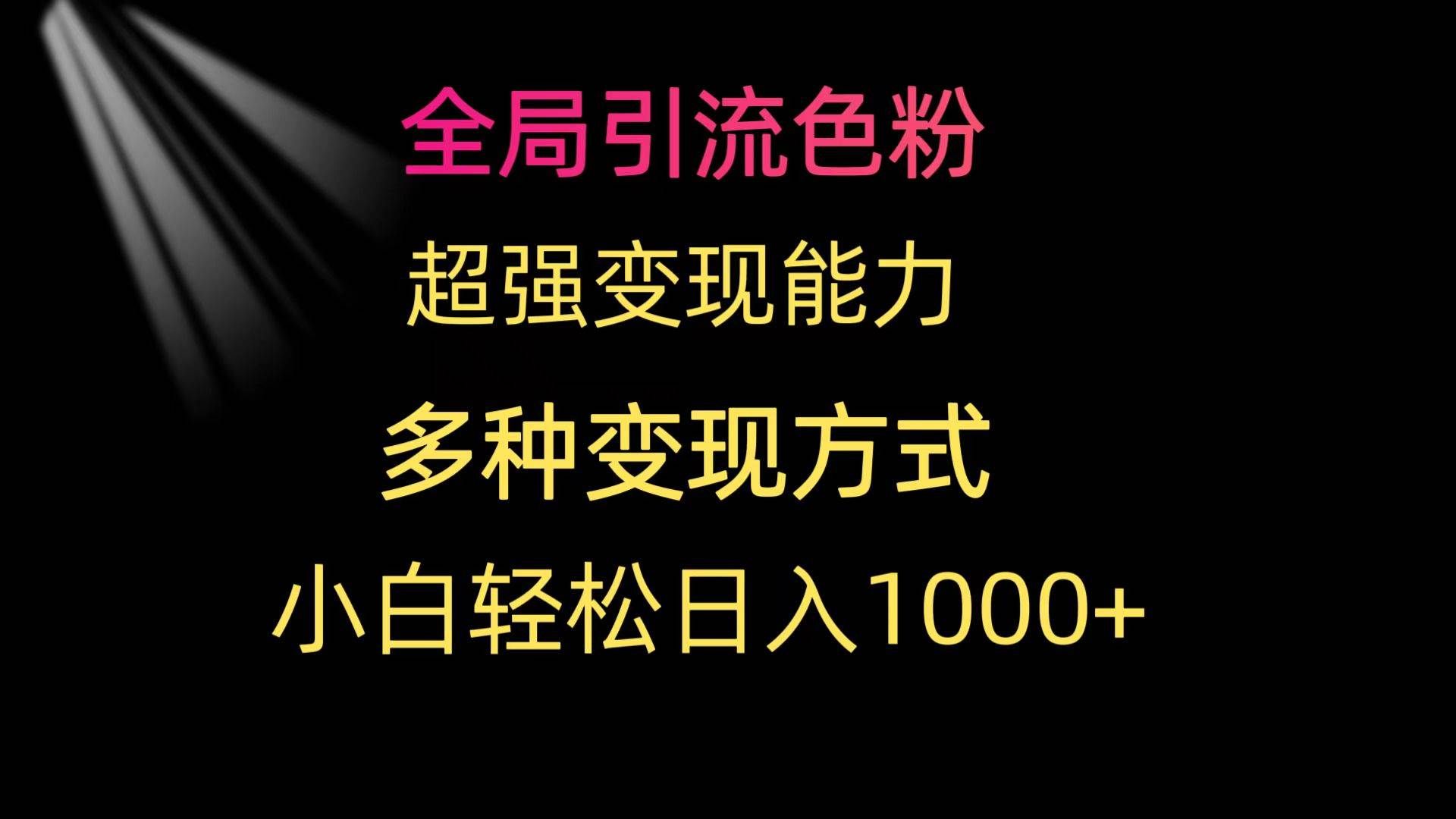 （9680期）全局引流色粉 超强变现能力 多种变现方式 小白轻松日入1000+-问小徐资源库