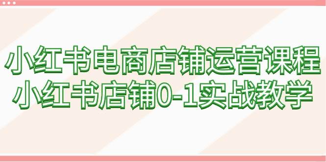 （9249期）小红书电商店铺运营课程，小红书店铺0-1实战教学（60节课）-问小徐资源库