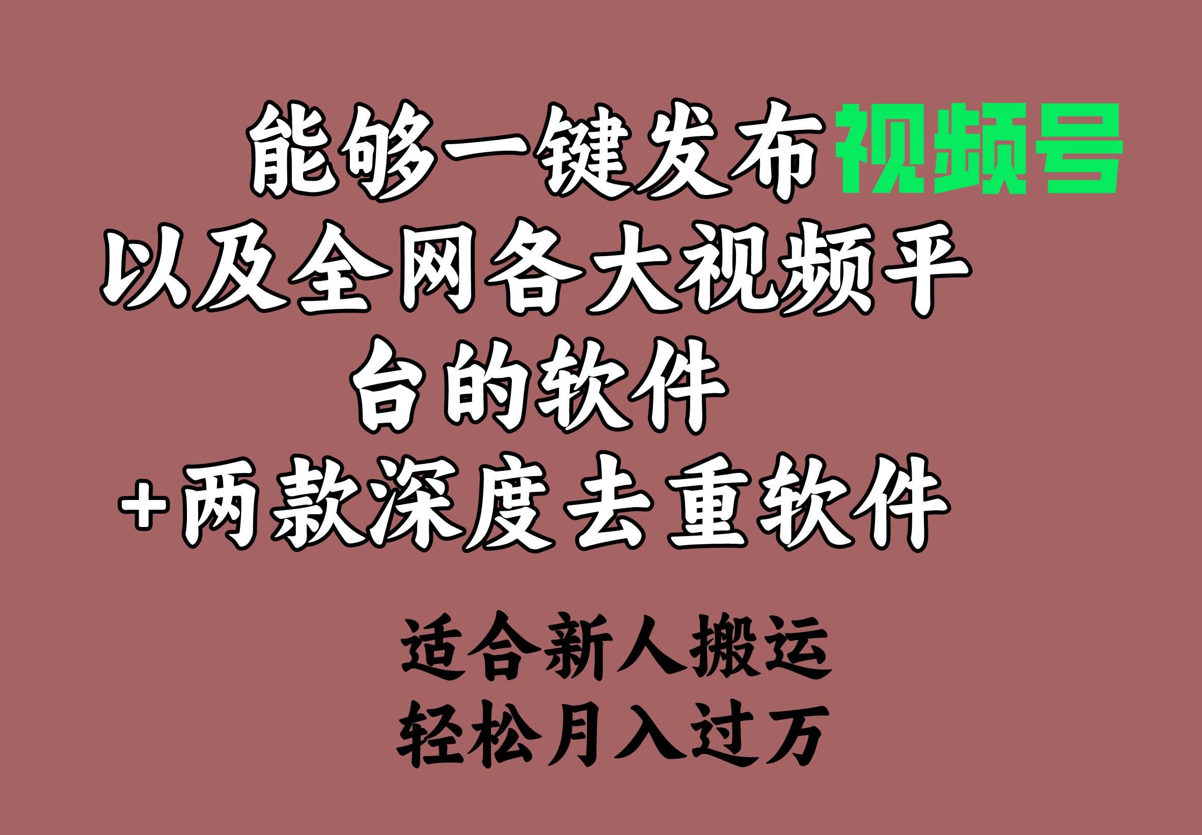（9319期）能够一键发布视频号以及全网各大视频平台的软件+两款深度去重软件 适合…-问小徐资源库
