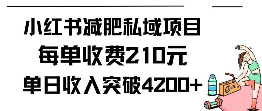 （9466期）小红书减肥私域项目每单收费210元单日成交20单，最高日入4200+-问小徐资源库