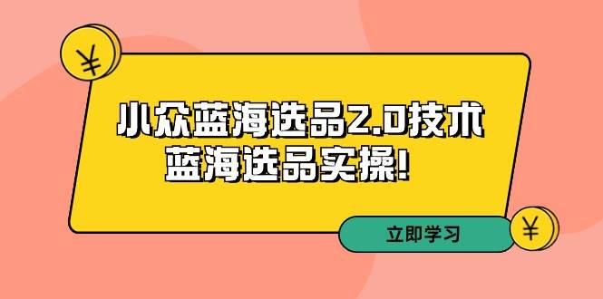 （9189期）拼多多培训第33期：小众蓝海选品2.0技术-蓝海选品实操！-问小徐资源库