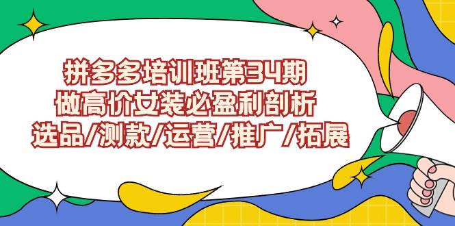 （9333期）拼多多培训班第34期：做高价女装必盈利剖析  选品/测款/运营/推广/拓展-问小徐资源库