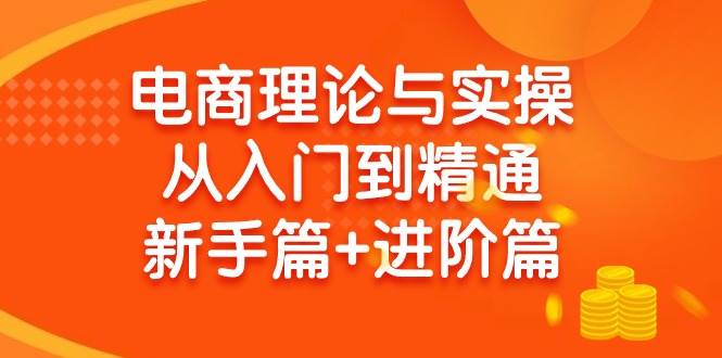 （9576期）电商理论与实操从入门到精通 新手篇+进阶篇-问小徐资源库