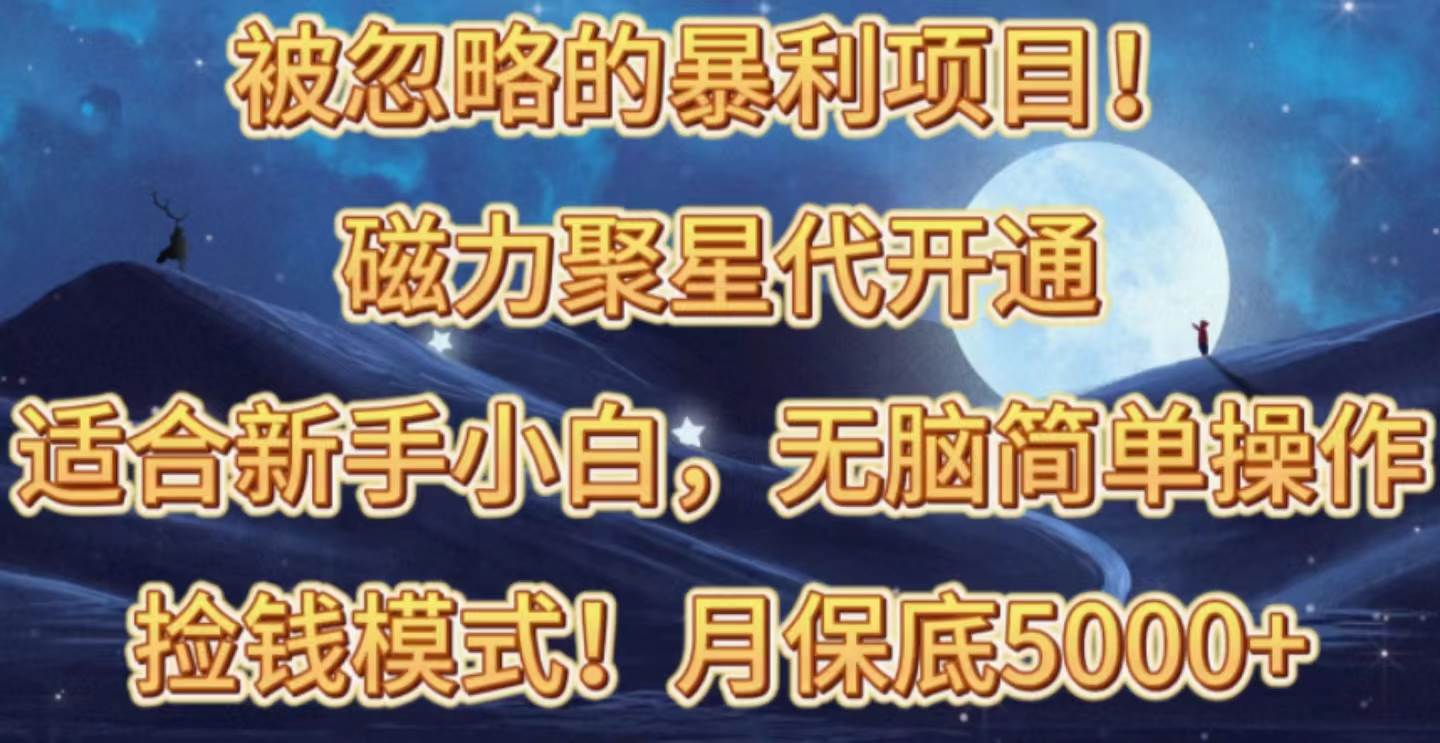 （10245期）被忽略的暴利项目！磁力聚星代开通捡钱模式，轻松月入五六千-问小徐资源库