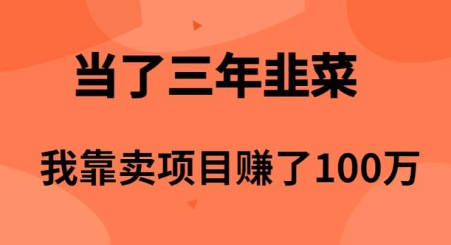 （10149期）当了3年韭菜，我靠卖项目赚了100万-问小徐资源库