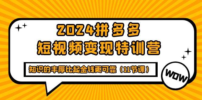 （9817期）2024拼多多短视频变现特训营，知识的丰厚比起金钱更可靠（11节课）-问小徐资源库
