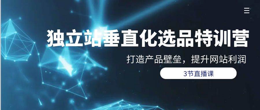 （9925期）独立站-垂直化选品训练营，打造产品壁垒，提升网站利润（3节直播课）-问小徐资源库