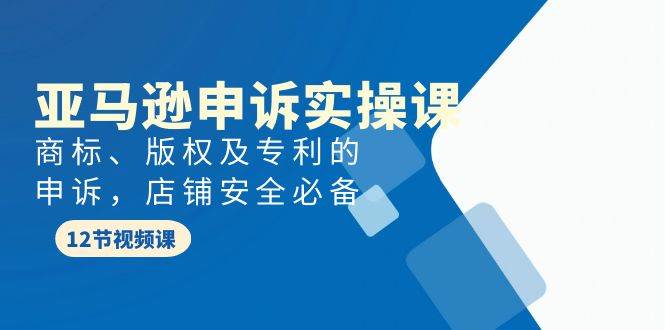 （9754期）亚马逊-申诉实战课，​商标、版权及专利的申诉，店铺安全必备-问小徐资源库