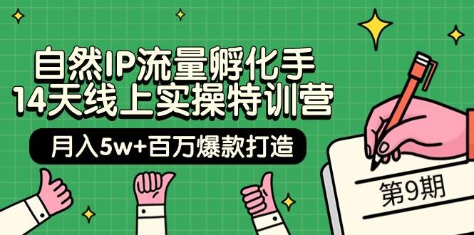 （9881期）自然IP流量孵化手 14天线上实操特训营【第9期】月入5w+百万爆款打造 (74节)-问小徐资源库