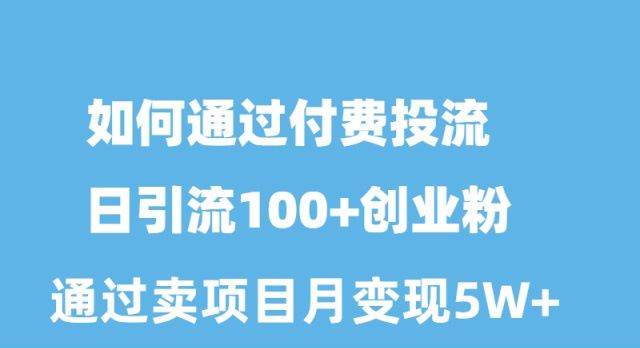（10189期）如何通过付费投流日引流100+创业粉月变现5W+-问小徐资源库