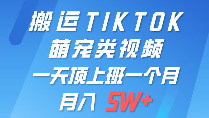（9931期）一键搬运TIKTOK萌宠类视频 一部手机即可操作 所有平台均可发布 轻松月入5W+-问小徐资源库