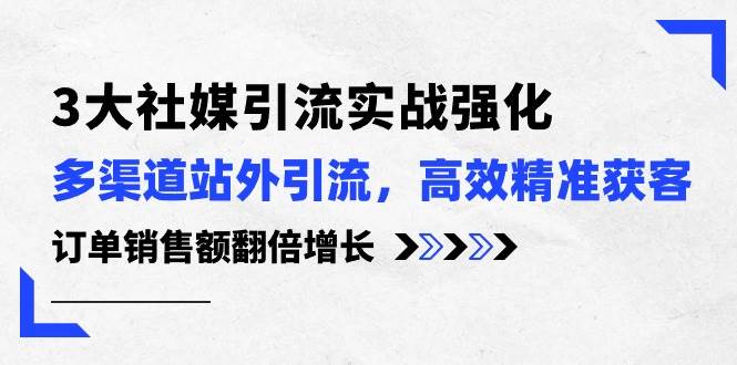 （10563期）3大社媒引流实操强化，多渠道站外引流/高效精准获客/订单销售额翻倍增长-问小徐资源库