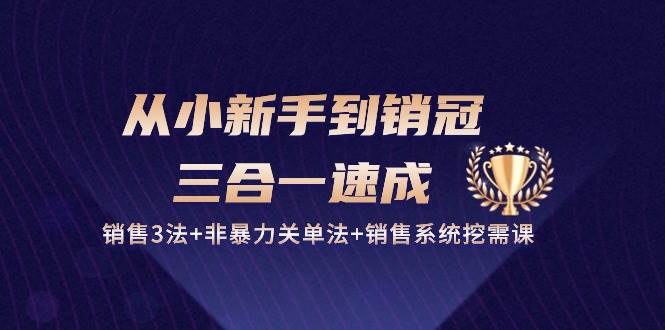 （10799期）从小新手到销冠 三合一速成：销售3法+非暴力关单法+销售系统挖需课 (27节)-问小徐资源库