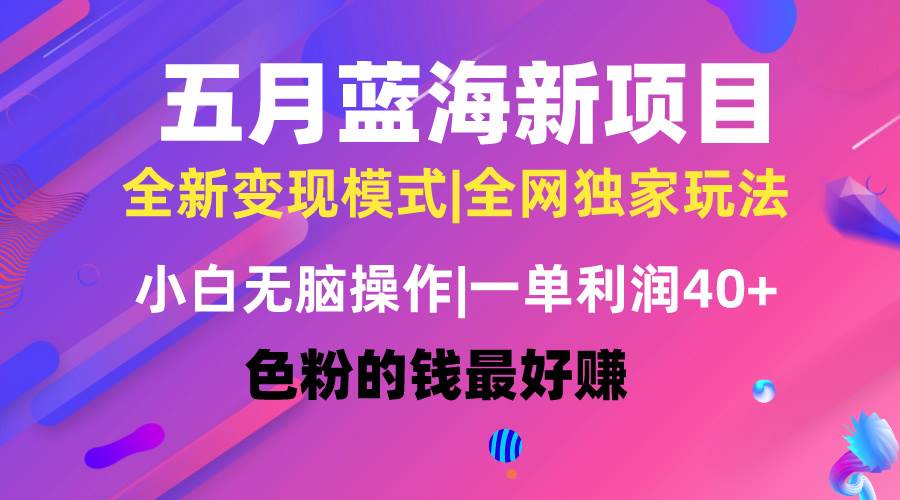 （10477期）五月蓝海项目全新玩法，小白无脑操作，一天几分钟，矩阵操作，月入4万+-问小徐资源库